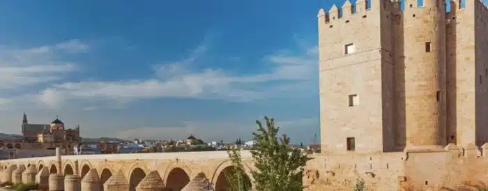 Puente Romano Cordoue